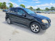 Mercedes-Benz M-CLASS 2010 — Copart