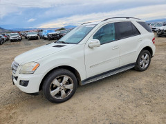 Mercedes-Benz M-CLASS 2009 — Copart