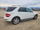 Mercedes-Benz M-CLASS 2009 — Copart