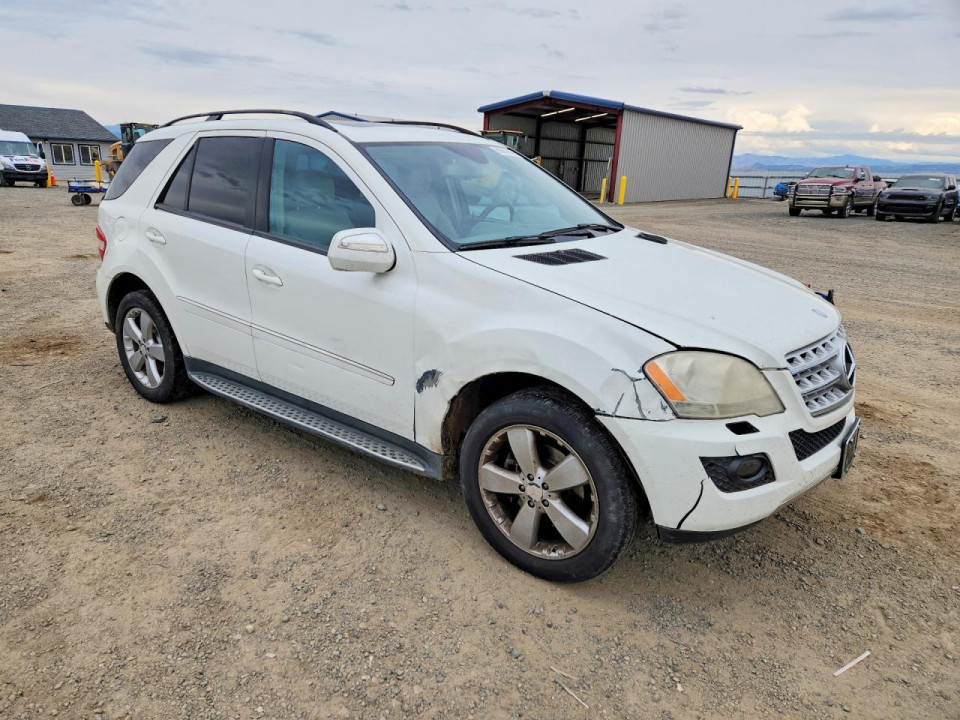 Mercedes-Benz M-CLASS 2009 — Copart