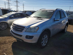 Mercedes-Benz M-CLASS 2007 — Copart