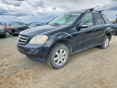Mercedes-Benz M-CLASS 2006 — Copart