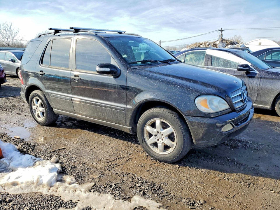 Mercedes-Benz M-CLASS 2003 — Copart