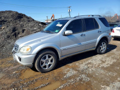 Mercedes-Benz M-CLASS 2003 — Copart