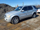 Mercedes-Benz M-CLASS 2003 — Copart