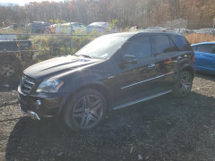 Mercedes-Benz M-CLASS 2011 — Copart