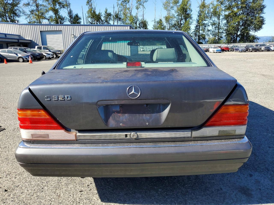 Mercedes-Benz S-CLASS 1995 — Copart