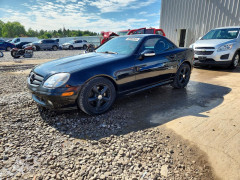 Mercedes-Benz SLK-CLASS 2003 — Copart