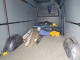 Mercedes-Benz SPRINTER 2023 — Copart