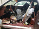 Mercury COUGAR 1979 — Copart