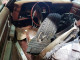 Mercury COUGAR 1979 — Copart