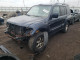 Mitsubishi MONTERO 2002 — Copart