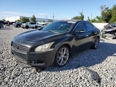 Nissan MAXIMA 2011 — Copart
