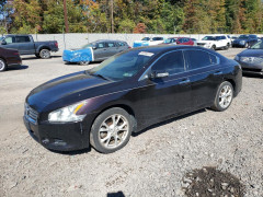 Nissan MAXIMA 2013 — Copart