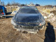 Nissan SENTRA 2025 — Copart