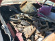 Pontiac FIREBIRD 1979 — Copart
