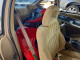 Pontiac GRANDPRIX 1999 — Copart
