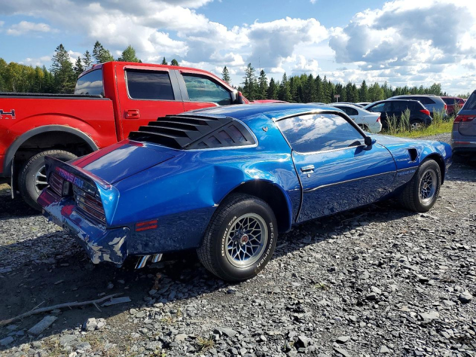 Pontiac TRANS AM 1978 — Copart
