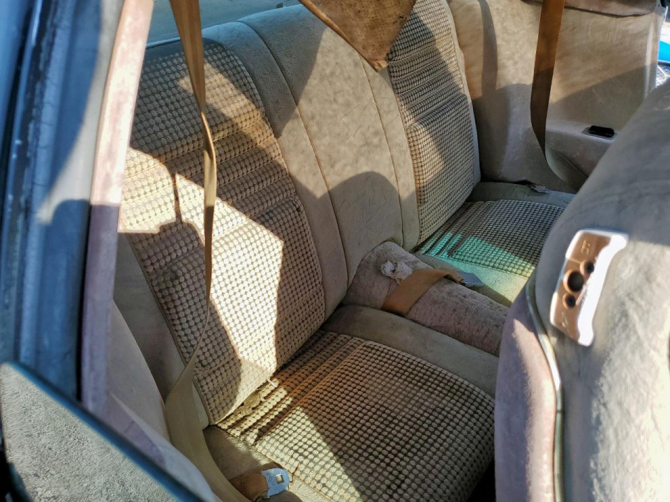 Pontiac TRANS AM 1980 — Copart