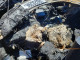 Porsche 911 2019 — Copart
