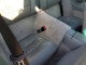 Porsche 911 2003 — Copart