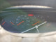 Porsche 944 1990 — Copart