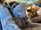Porsche CAYMAN 2014 — Copart