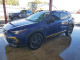 Subaru CROSSTREK 2024 — Copart