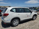 Subaru FORESTER 2024 — Copart