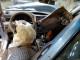 Subaru FORESTER 2012 — Copart