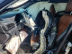 Subaru FORESTER 2026 — Copart