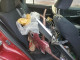 Subaru IMPREZA 2015 — Copart