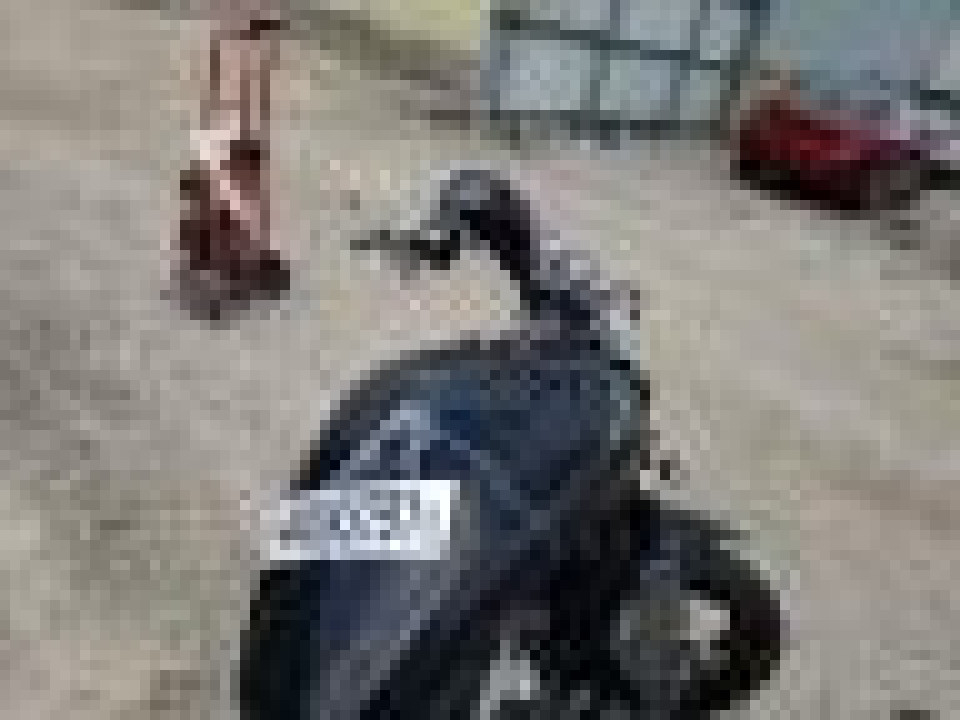 Suzuki BOULEVARD 2008 — Copart
