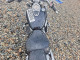 Suzuki BOULEVARD 2005 — Copart