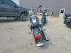 Suzuki BOULEVARD 2005 — Copart