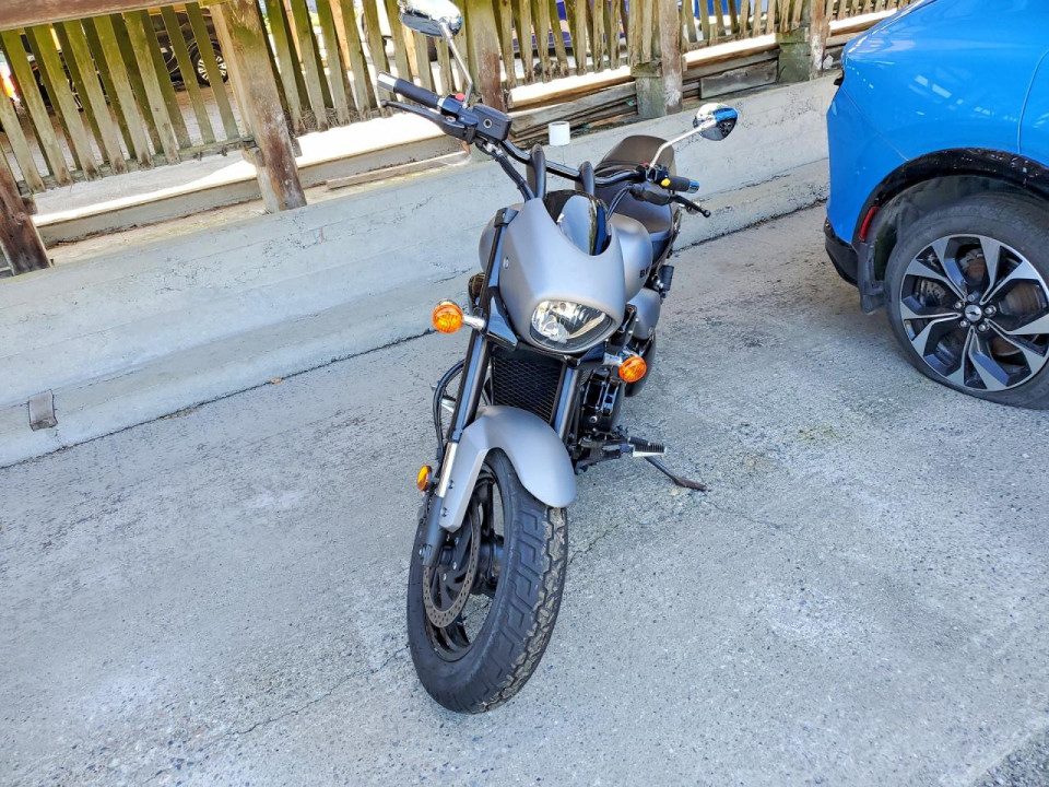 Suzuki CYC VZ/VZR 2019 — Copart