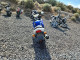 Suzuki CYCLE GS(F 2004 — Copart
