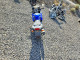 Suzuki CYCLE GS(F 2004 — Copart