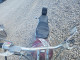 Suzuki CYCLE VS 1999 — Copart