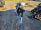 Suzuki DIRTBIKE 2022 — Copart