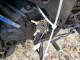 Suzuki GSX-R750 K 2005 — Copart