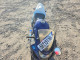 Suzuki GSX-R600 K 2005 — Copart