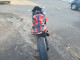 Suzuki GSX1300 R 2006 — Copart