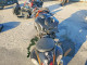 Suzuki GSX1300 R 2009 — Copart