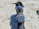 Suzuki GSX800 F 2025 — Copart