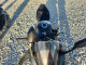 Suzuki GSX800 F 2025 — Copart