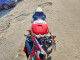 Suzuki GSXR1000 2002 — Copart