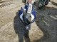 Suzuki GSXR1000 2004 — Copart