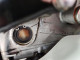 Suzuki GSXR600 2011 — Copart