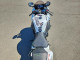 Suzuki GSXR600 2024 — Copart